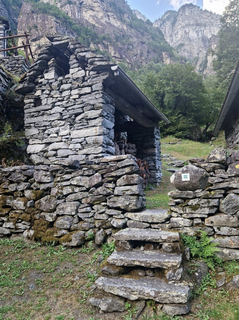 20250815_180833 (Kopiowanie) (Kopiowanie).jpg