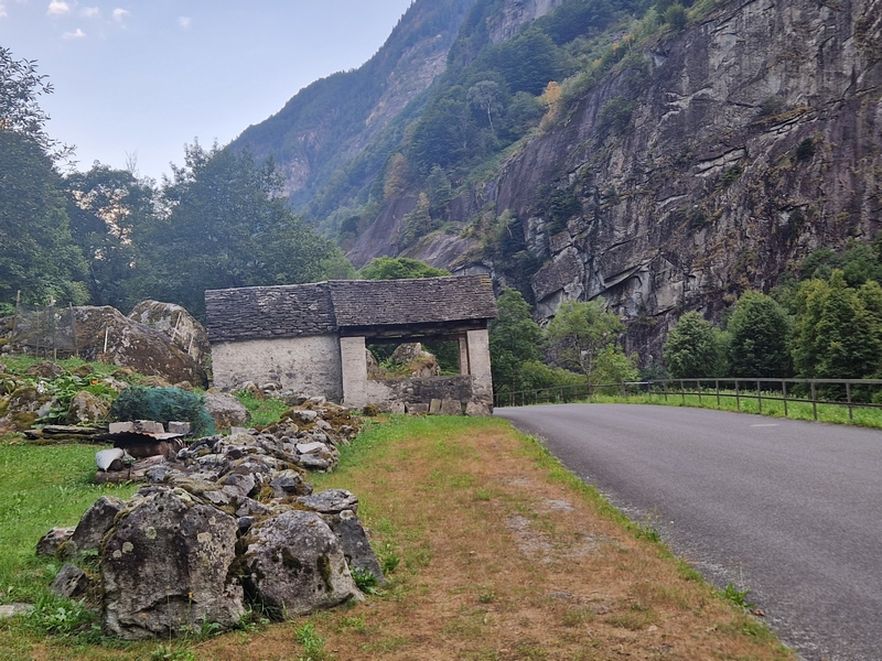 20250815_181513 (Kopiowanie).jpg