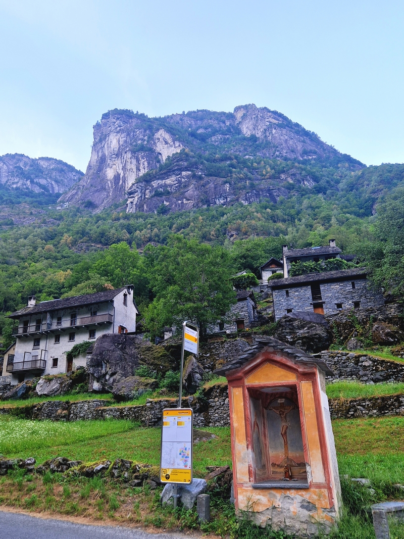 20250815_181919 (Kopiowanie).jpg