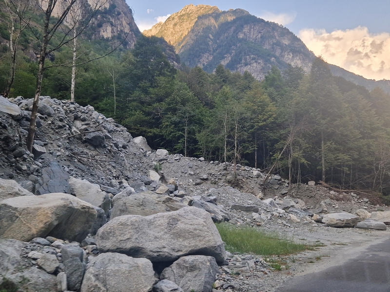 20250815_181644 (Kopiowanie).jpg