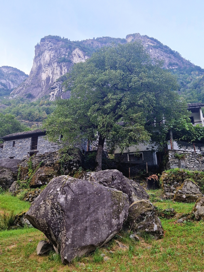 20250815_182013 (Kopiowanie).jpg