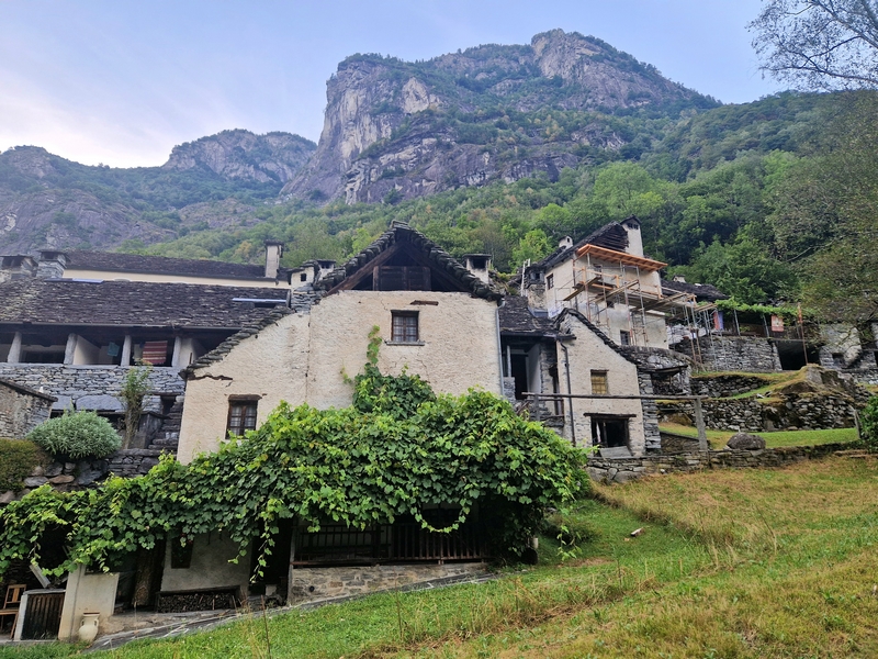 20250815_182120 (Kopiowanie).jpg