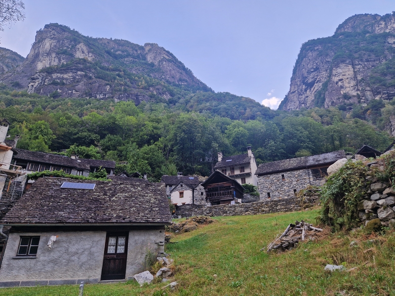 20250815_182219 (Kopiowanie).jpg