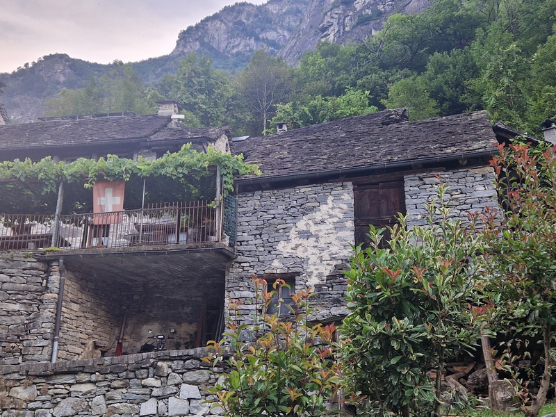 20250815_182404 (Kopiowanie).jpg