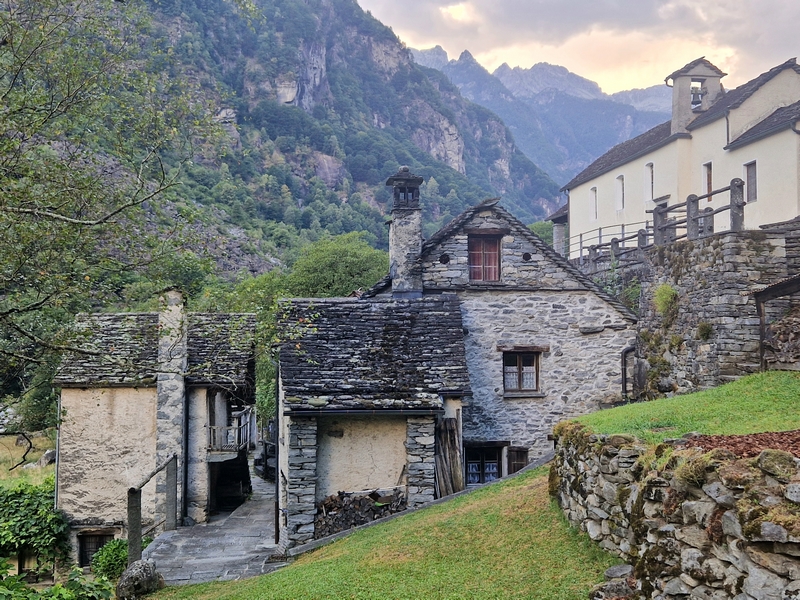 20250815_182435 (Kopiowanie).jpg