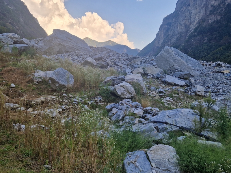 20250815_182747 (Kopiowanie).jpg