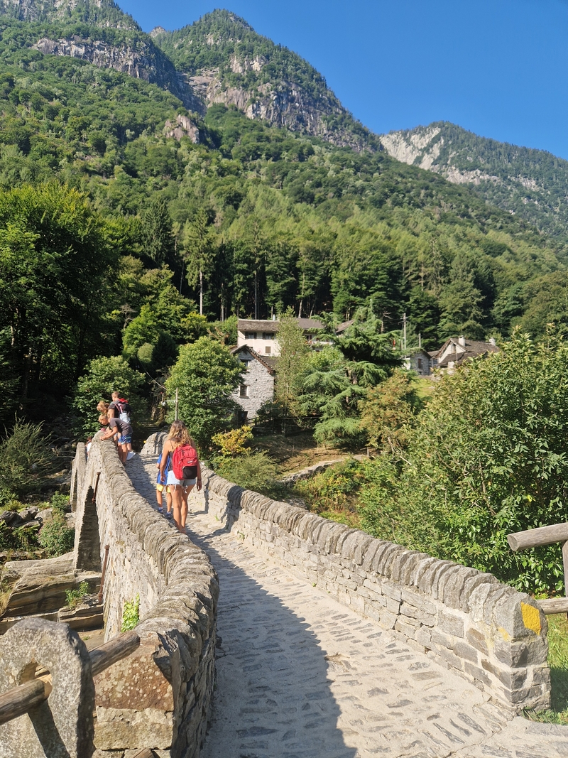 20250816_094536 (Kopiowanie).jpg