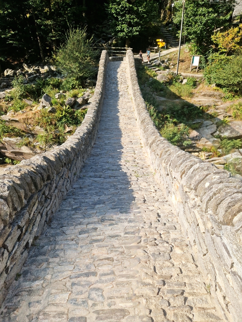 20250816_094810 (Kopiowanie).jpg