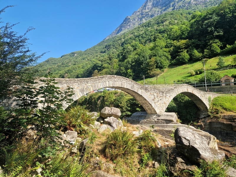 20250816_101942 (Kopiowanie).jpg