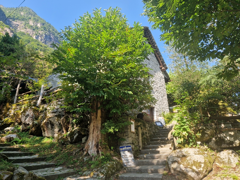 20250816_102051 (Kopiowanie).jpg