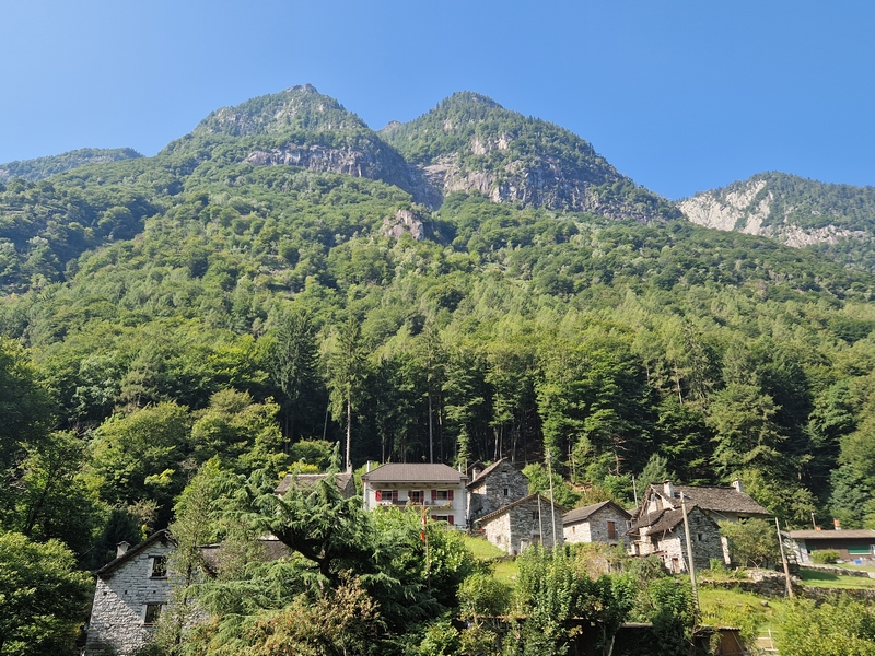 20250816_102539 (Kopiowanie).jpg