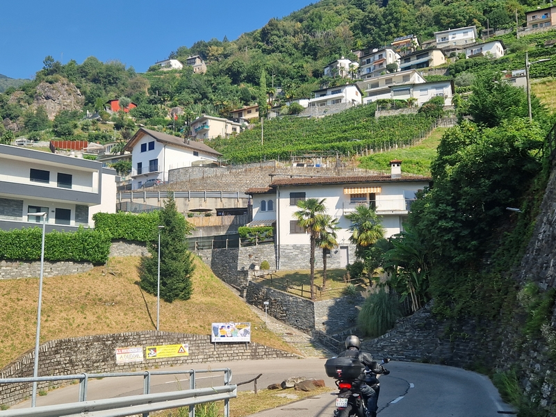 20250816_105010 (Kopiowanie).jpg