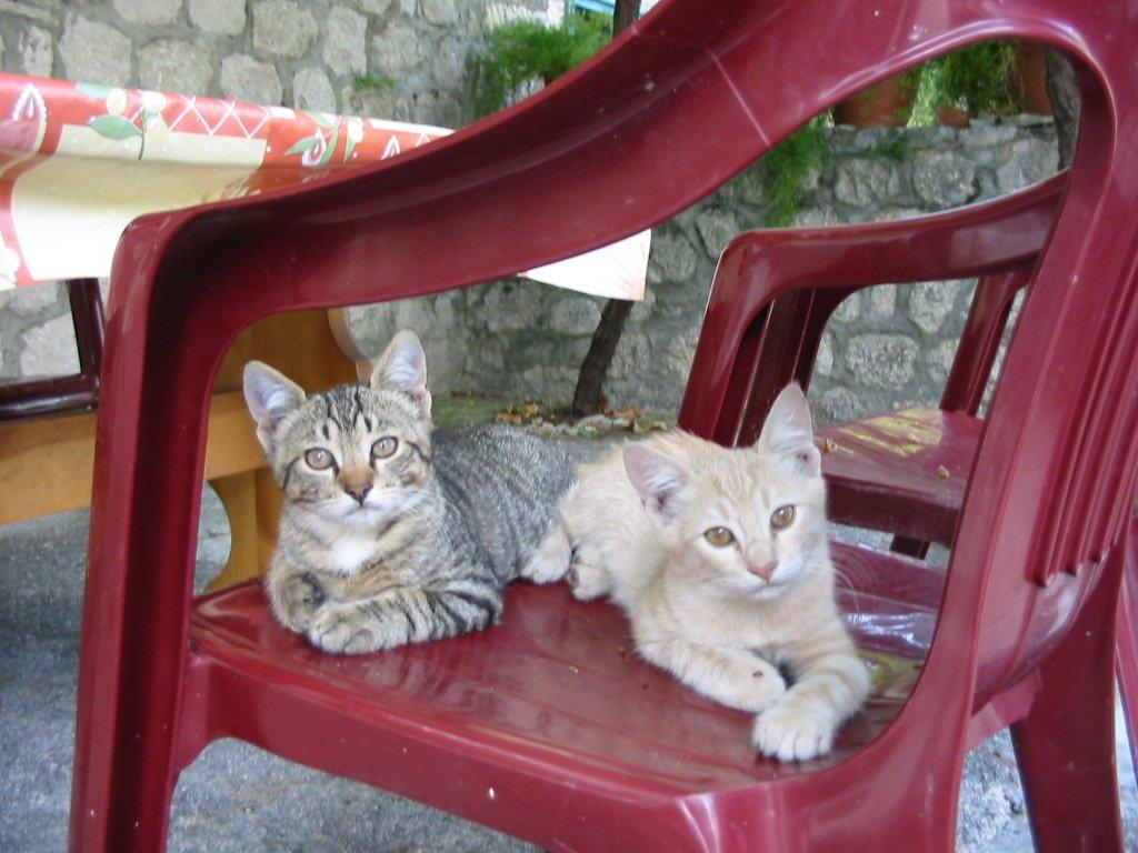 Chorwacja 2007 546.jpg