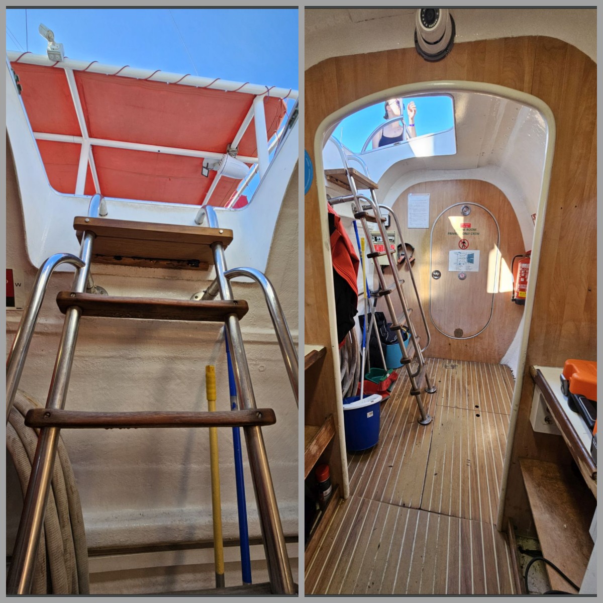 MaxiCat zejście do WC.jpg