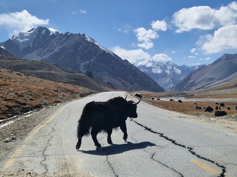 20250927_133412(0) (Kopiowanie).jpg