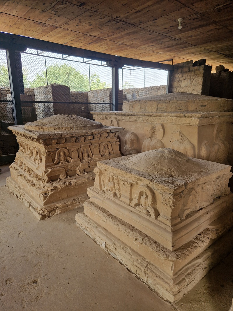 20251002_101624 (Kopiowanie).jpg