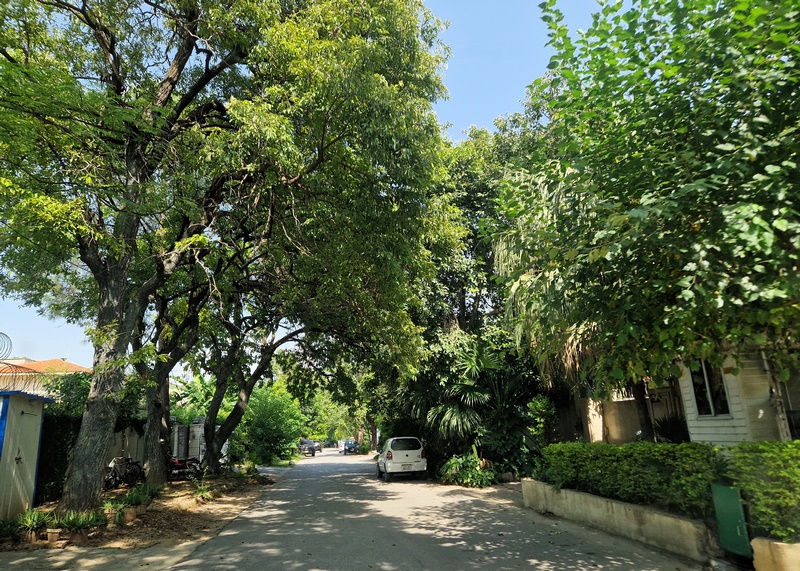 20250920_140808 (Kopiowanie).jpg