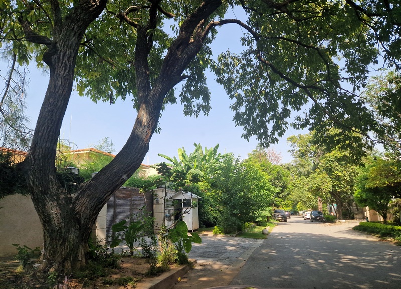 20250920_140811 (Kopiowanie).jpg