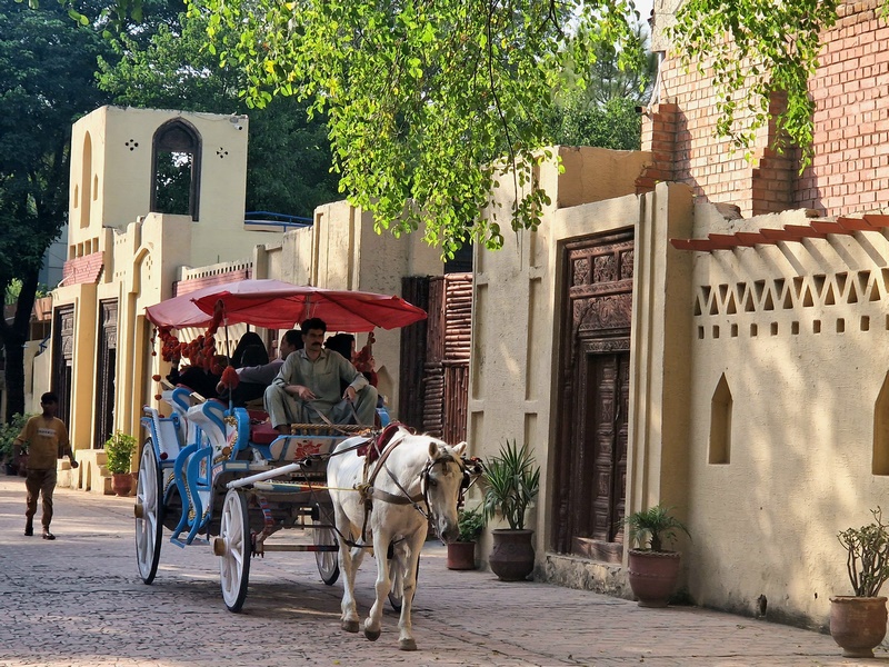 20250920_154859 (Kopiowanie).jpg