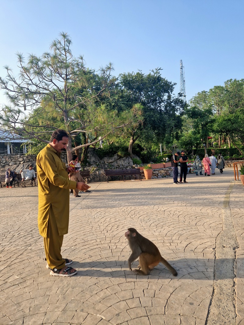 20250920_164430 (Kopiowanie).jpg