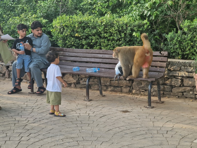 20250920_164755 (Kopiowanie).jpg