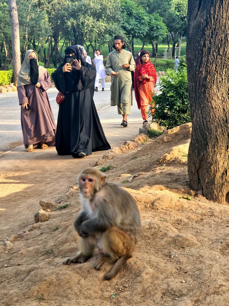 20250920_165718 (Kopiowanie).jpg