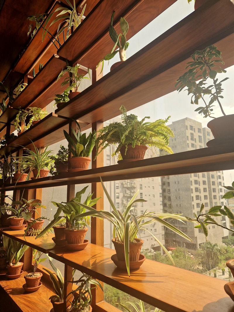 20250921_135435 (Kopiowanie).jpg