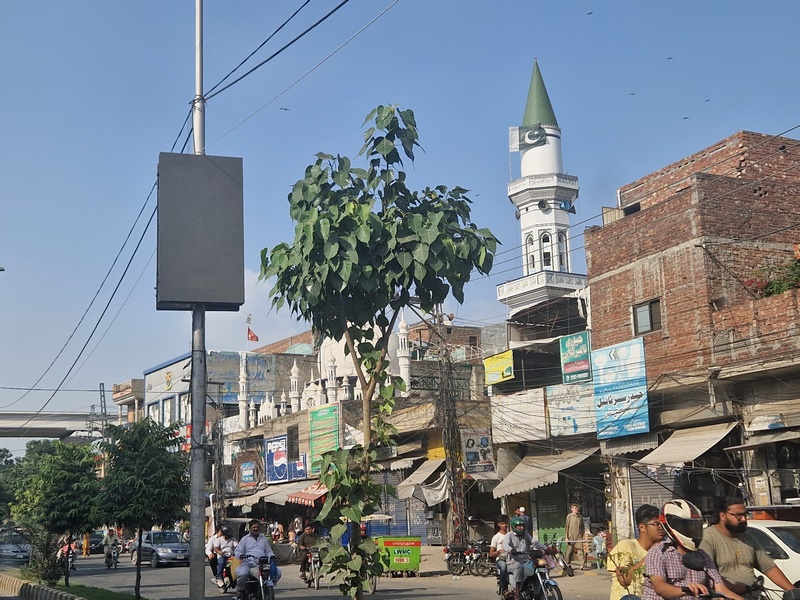 20250921_152110 (Kopiowanie).jpg