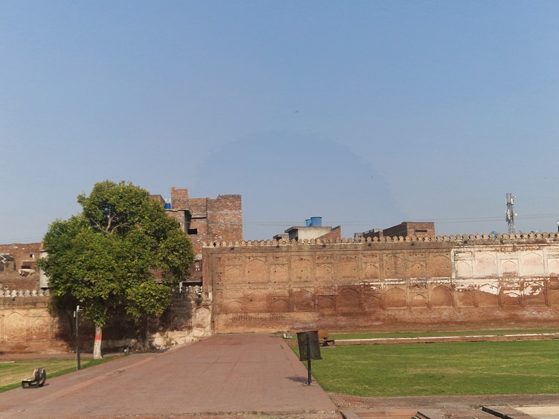 20250921_154621 (Kopiowanie).jpg