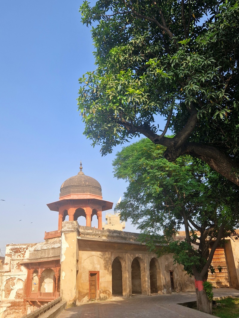 20250921_155009 (Kopiowanie).jpg