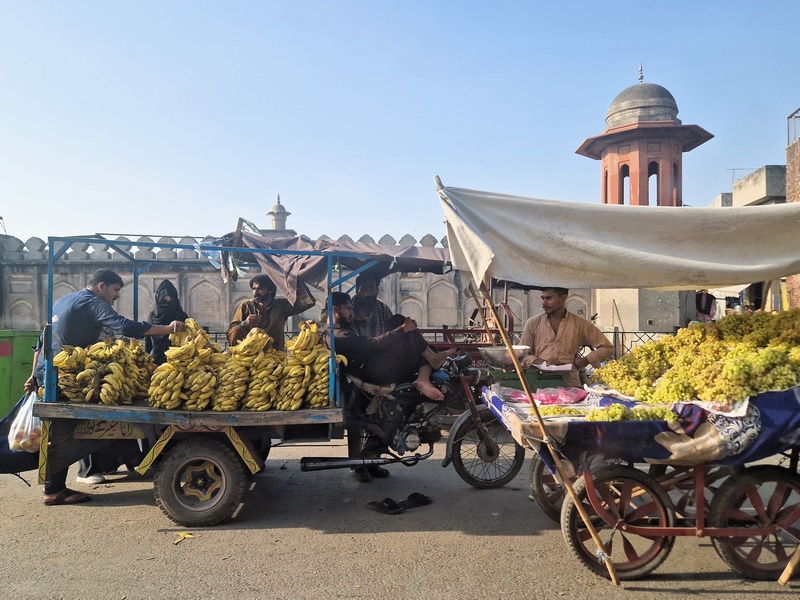 20250921_160552 (Kopiowanie).jpg