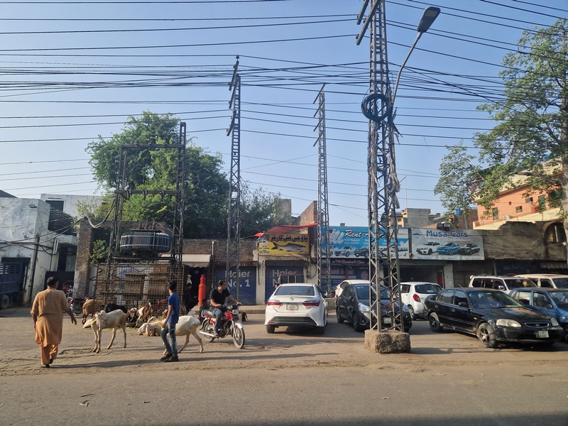 20250921_160728 (Kopiowanie).jpg