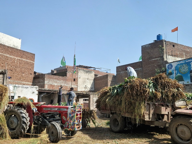 20250922_101802 (Kopiowanie).jpg