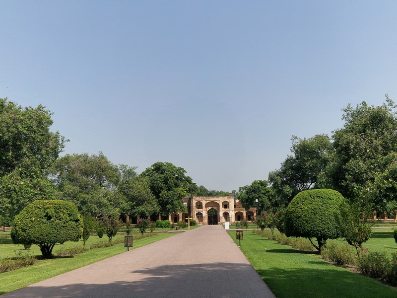 20250922_102402 (Kopiowanie).jpg