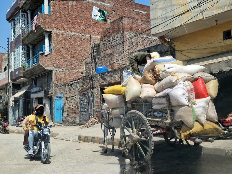 20250922_111925 (Kopiowanie).jpg