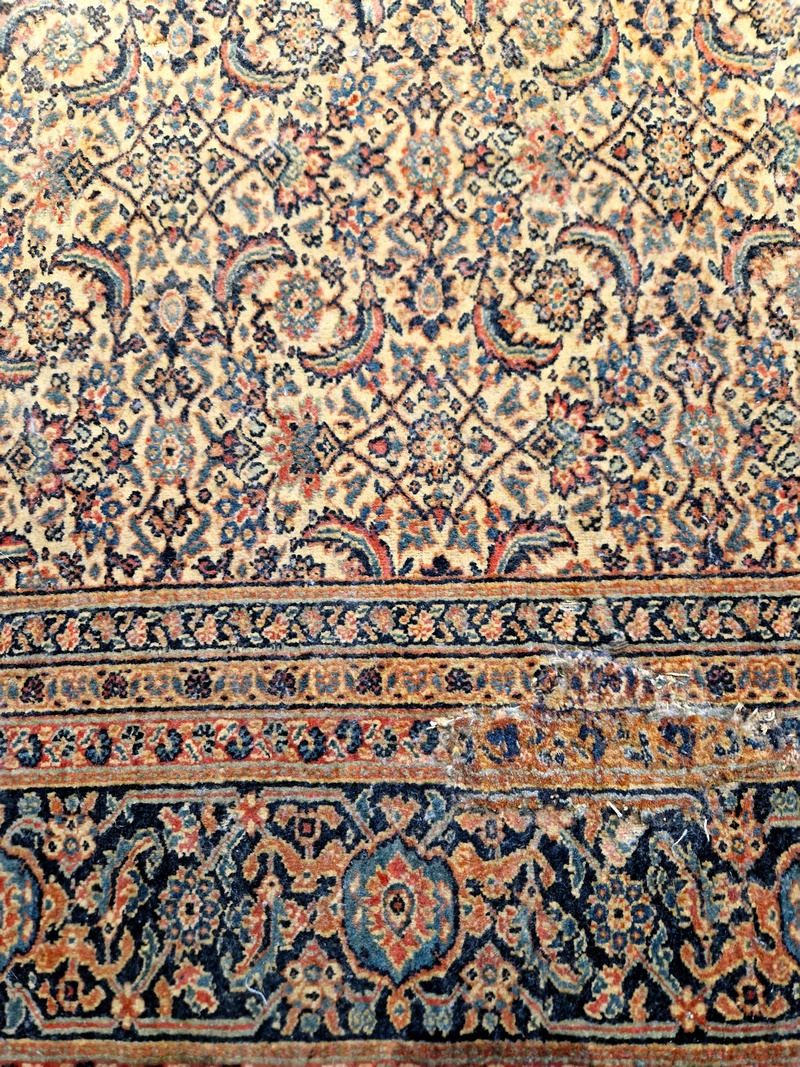 20250922_132949 (Kopiowanie).jpg