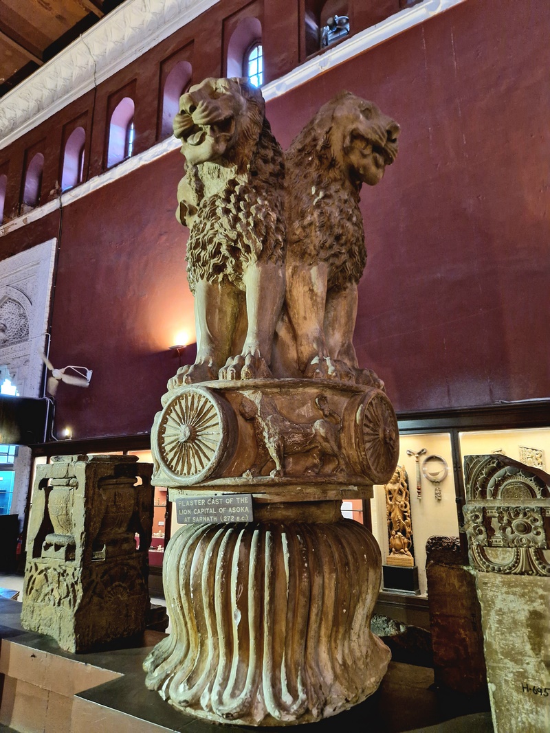 20250922_133207 (Kopiowanie).jpg