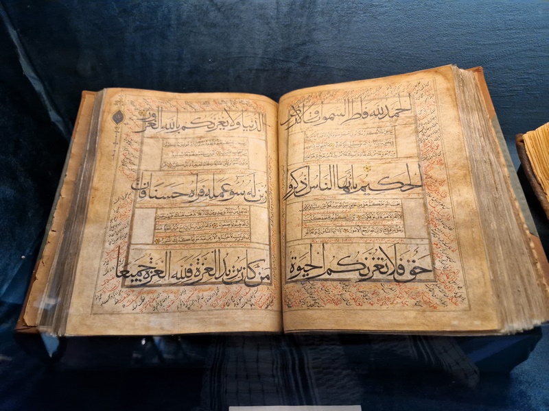 20250922_134313 (Kopiowanie).jpg