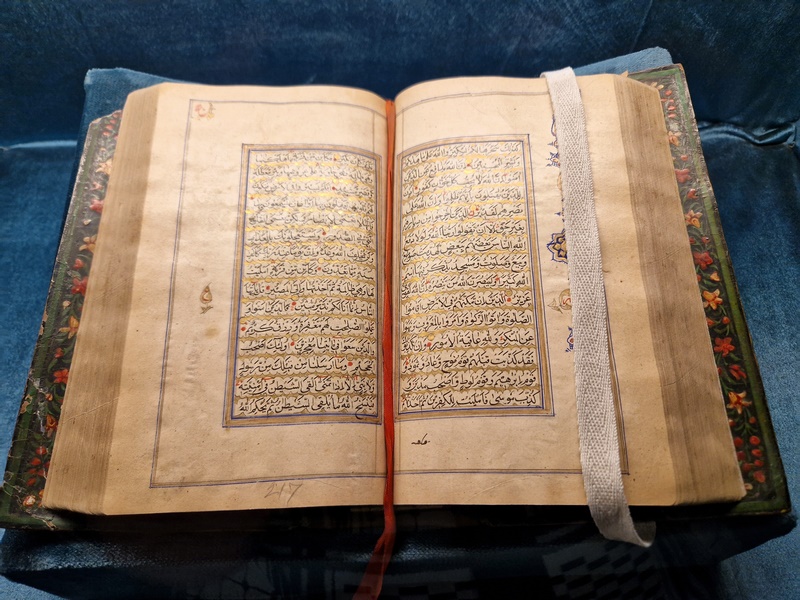 20250922_134333 (Kopiowanie).jpg