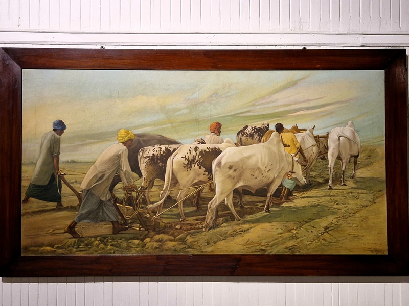 20250922_134517 (Kopiowanie).jpg