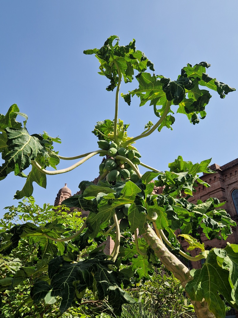 20250922_140420 (Kopiowanie).jpg