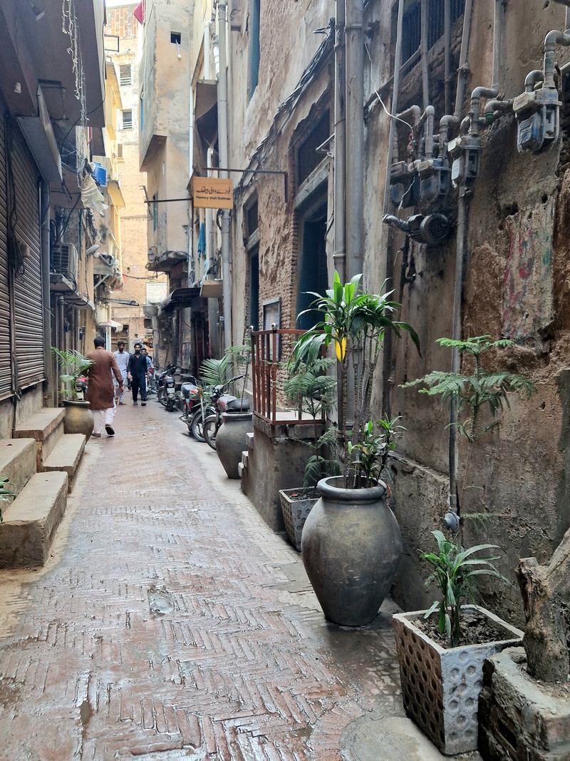 20250922_150731 (Kopiowanie).jpg