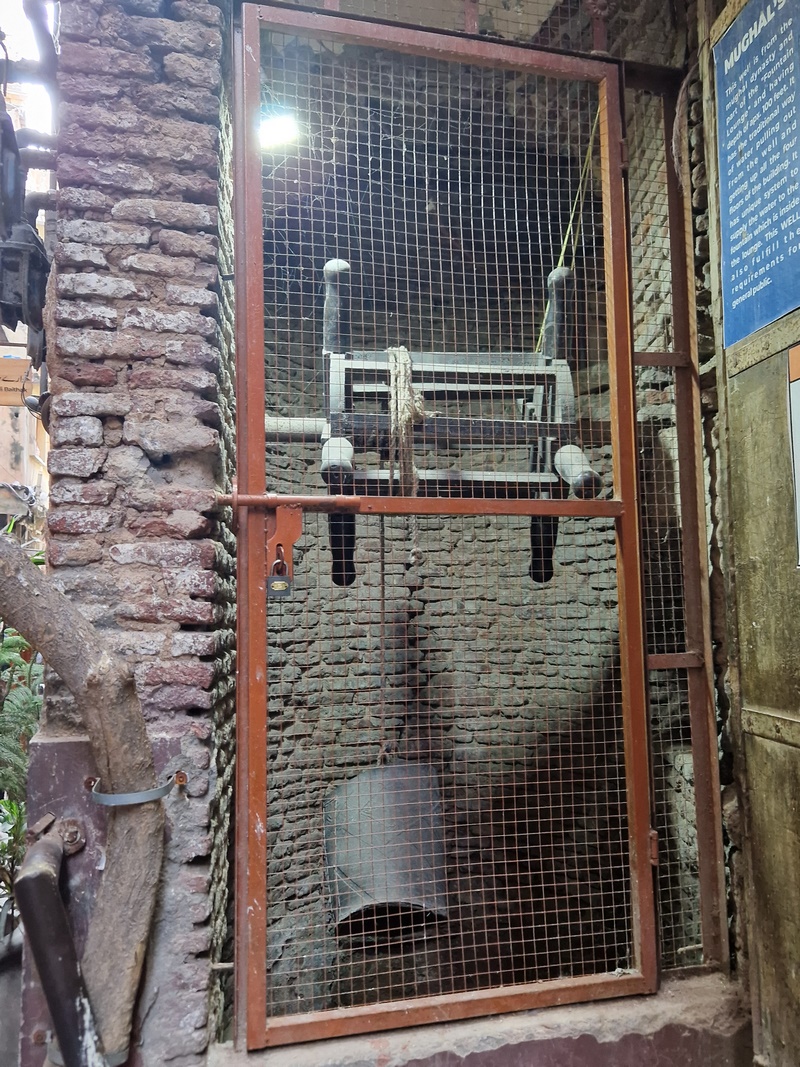 20250922_150741 (Kopiowanie).jpg