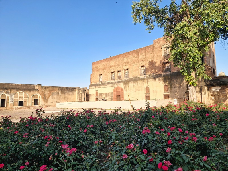 20250922_162150 (Kopiowanie).jpg