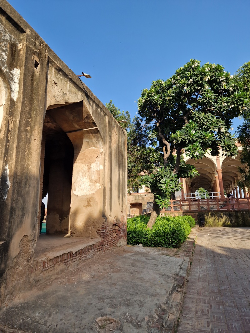 20250922_162233 (Kopiowanie).jpg