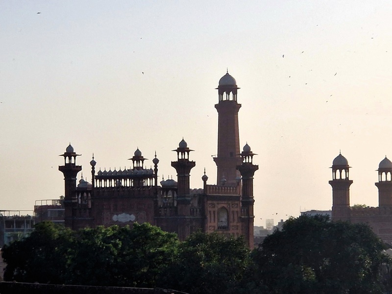 20250922_165031 (Kopiowanie).jpg