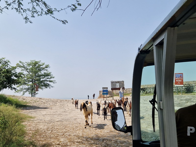 20250923_132326 (Kopiowanie).jpg