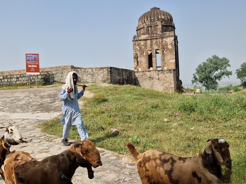 20250923_132336 (Kopiowanie).jpg