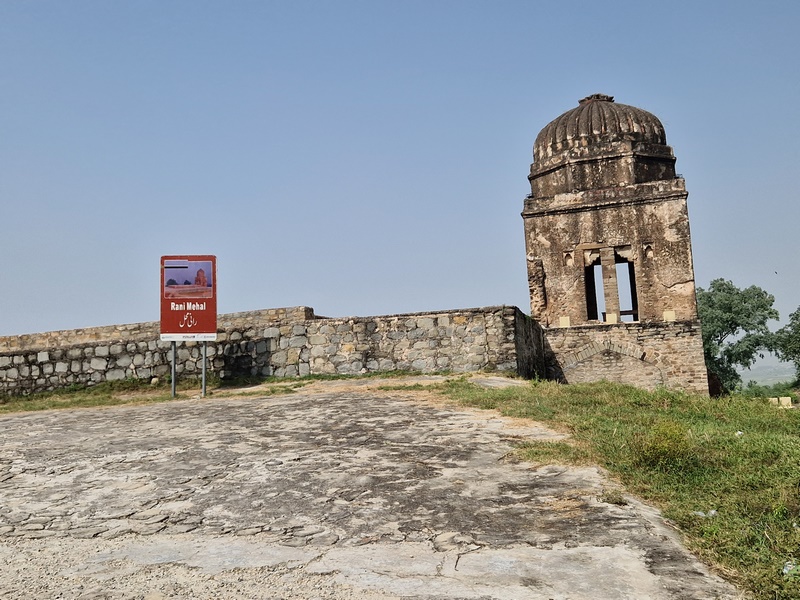 20250923_132340 (Kopiowanie).jpg