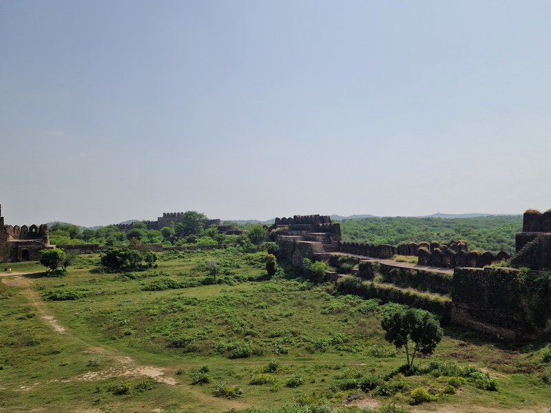 20250923_132540 (Kopiowanie).jpg